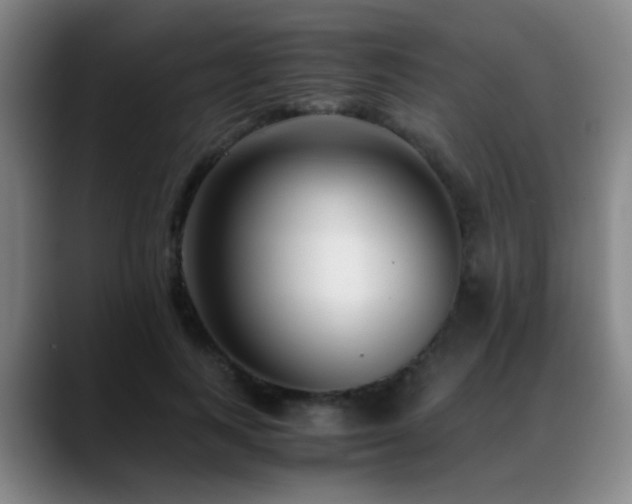 X0000089430743200706151308