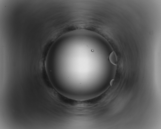 X0000089430746200706151308