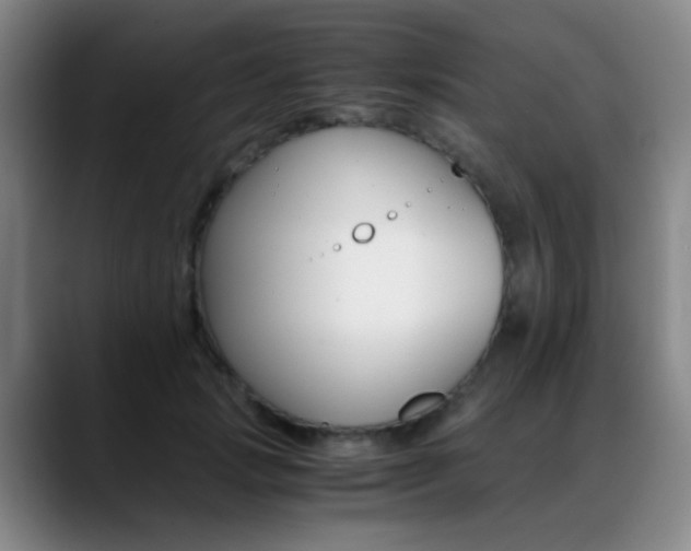 X0000089430749200706151308