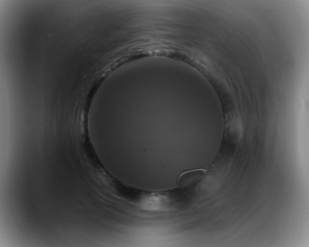 X0000089430754200706151308
