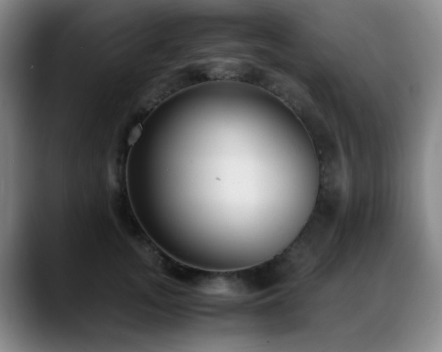 X0000089430755200706151308