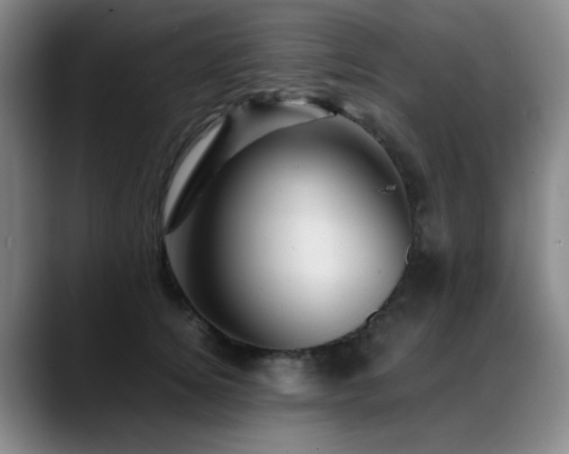 X0000089430756200706151308