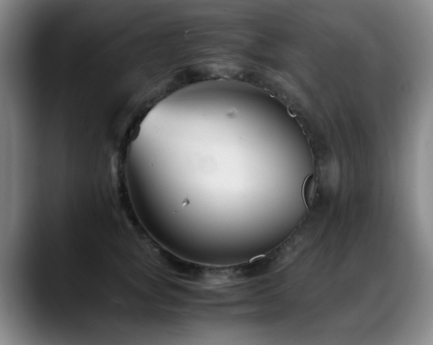 X0000089430757200706151308