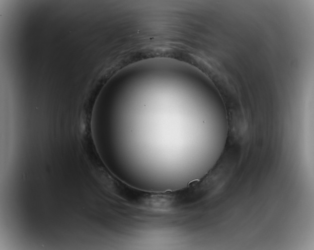 X0000089430758200706151309