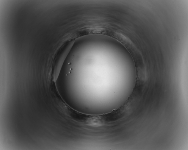 X0000089430761200706151309