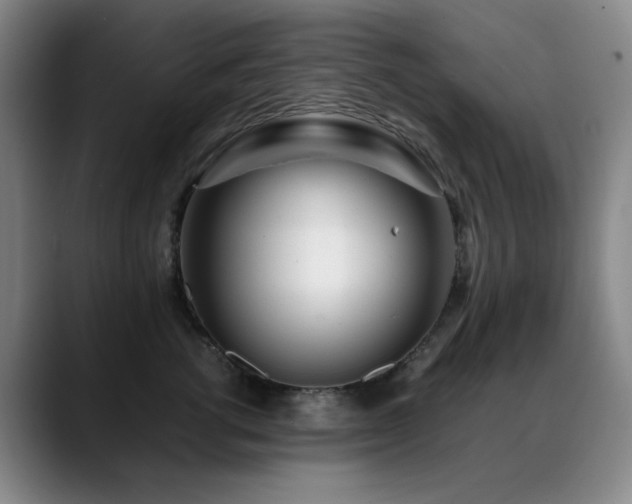 X0000089430762200706151309