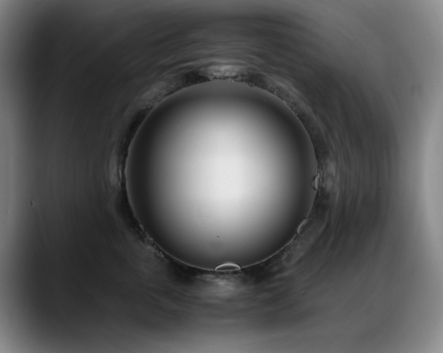 X0000089430763200706151309
