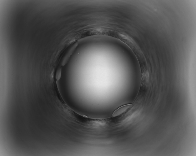 X0000089430765200706151309