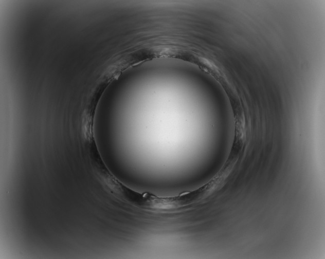 X0000089430766200706151309