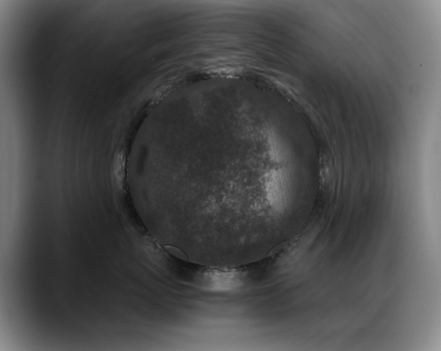 X0000089430767200706151309
