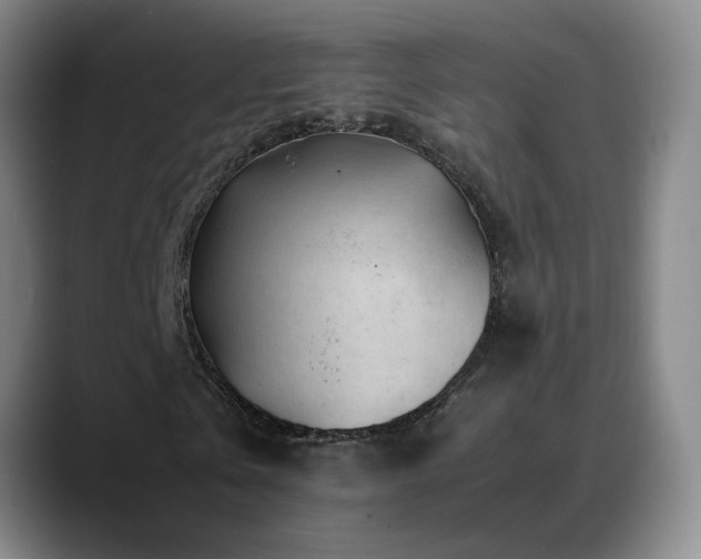 X0000089430769200706151308