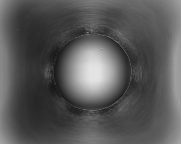 X0000089430770200706151308