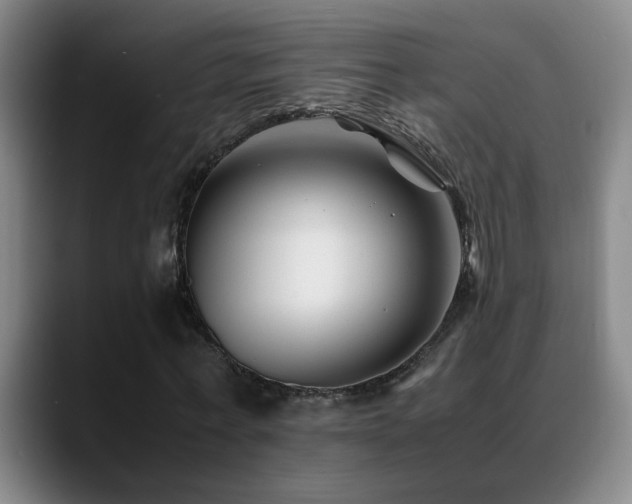 X0000089430771200706151308
