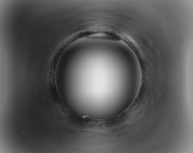 X0000089430775200706151308