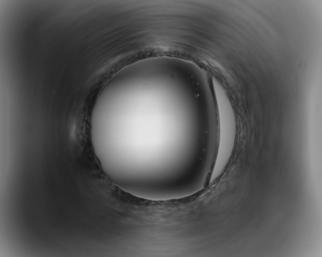 X0000089430776200706151308