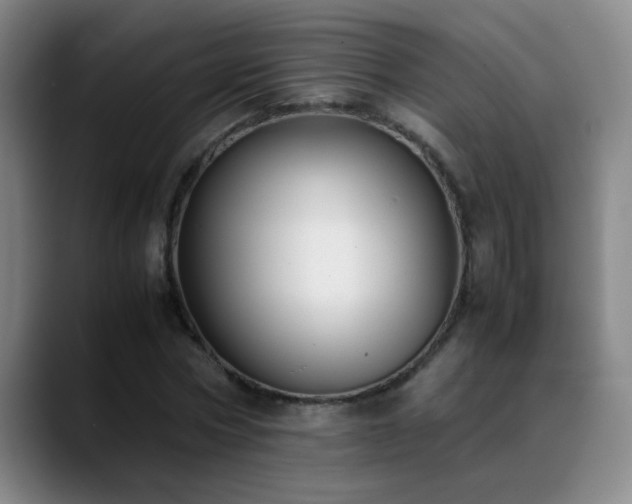 X0000089430778200706151308