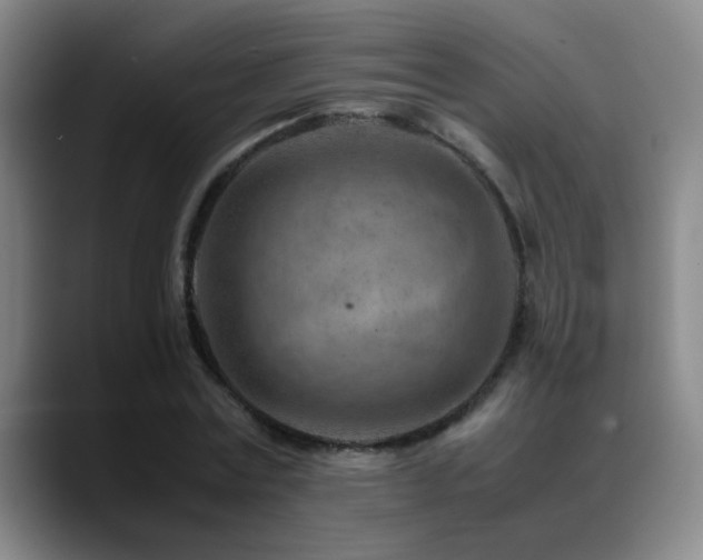 X0000089430779200706151308