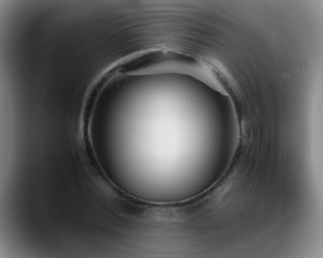 X0000089430780200706151308