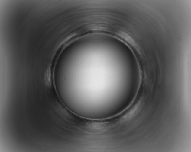 X0000089430782200706151308