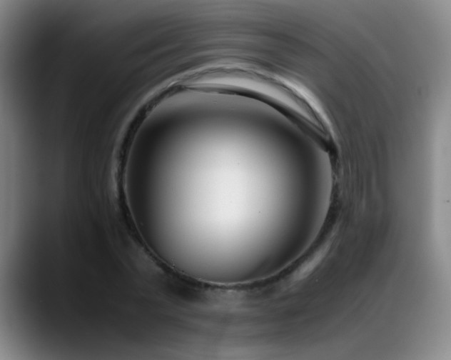 X0000089430783200706151308