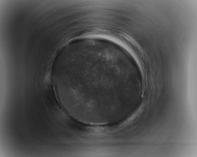 X0000089430785200706151308