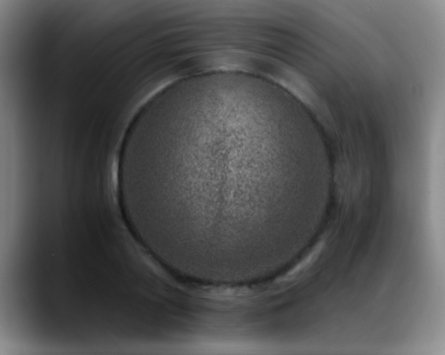 X0000089430790200706151308