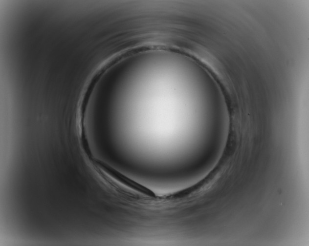 X0000089430791200706151308