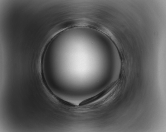 X0000089430795200706151308