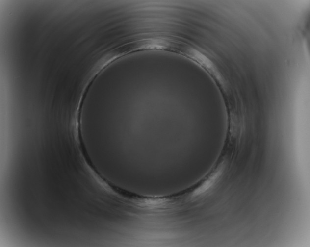 X0000089430802200706151308