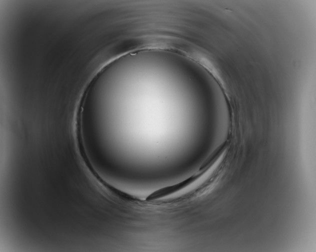 X0000089430803200706151308