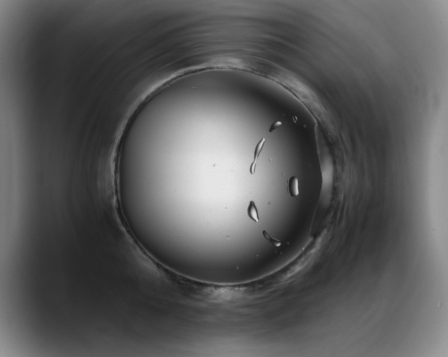 X0000089430808200706151308