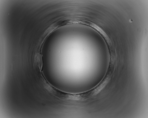 X0000089430809200706151308