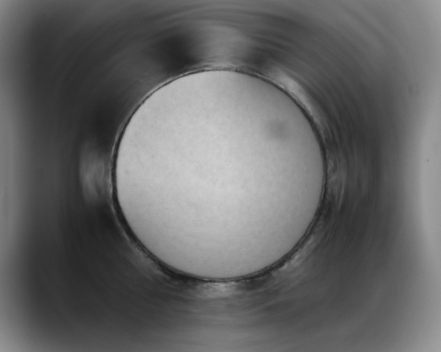 X0000089430810200706151308