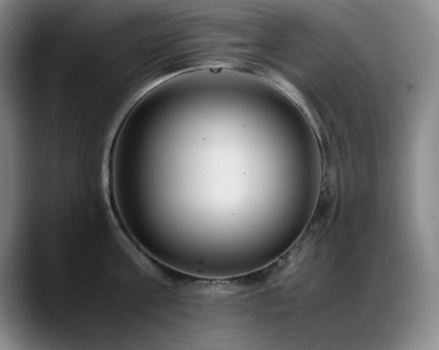 X0000089430811200706151308