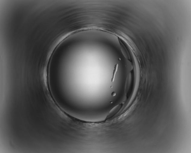 X0000089430812200706151308