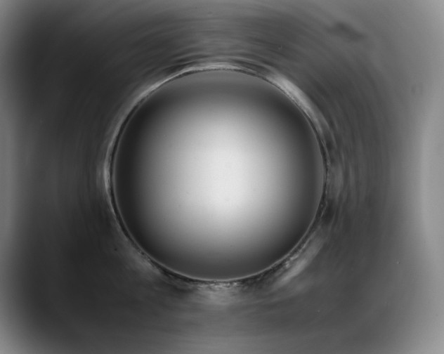 X0000089430813200706151308