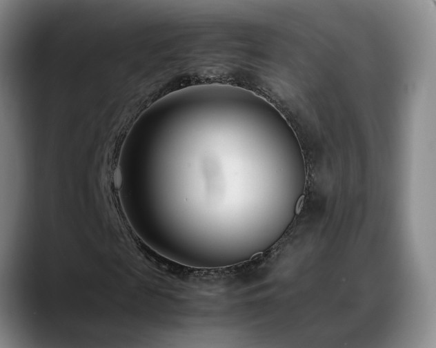 X0000089430817200706151307