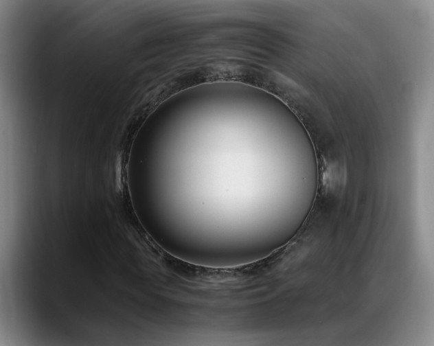 X0000089430819200706151307