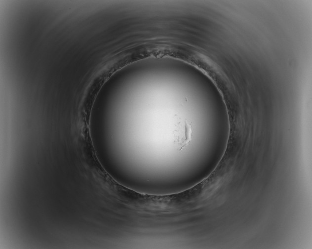 X0000089430823200706151307
