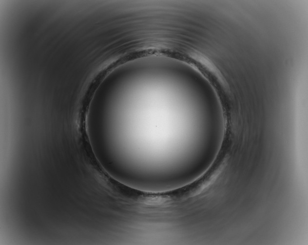 X0000089430826200706151307