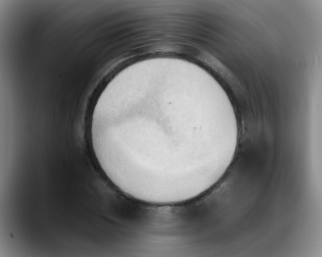 X0000089430828200706151307