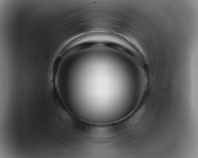 X0000089430830200706151307