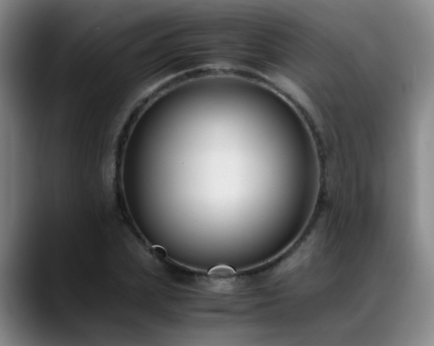 X0000089430831200706151307