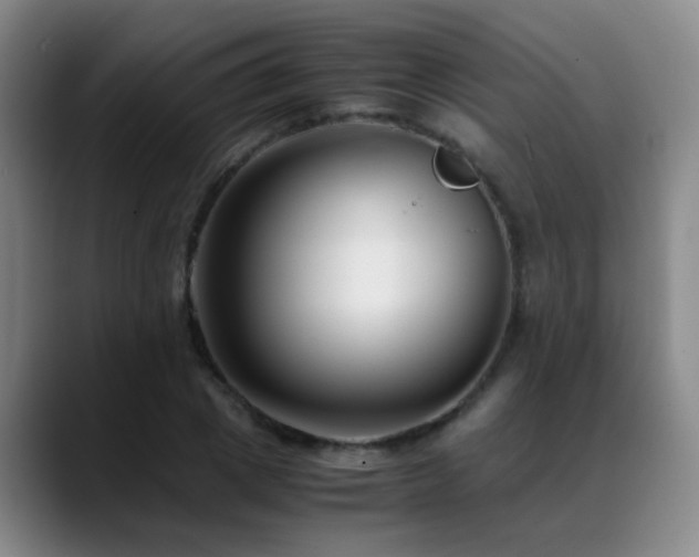 X0000089430833200706151307
