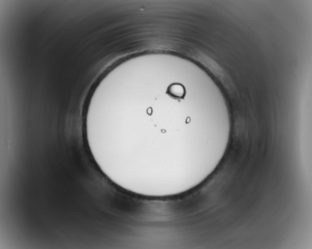 X0000089430836200706151307