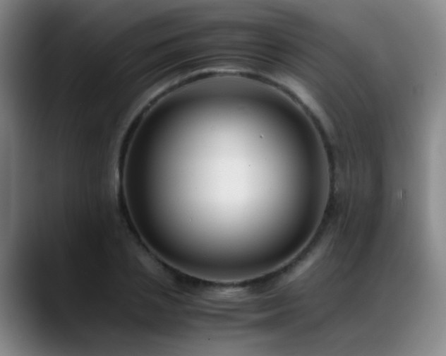 X0000089430837200706151307