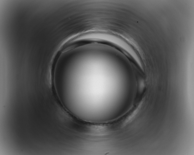X0000089430838200706151307