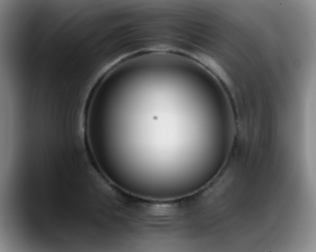 X0000089430839200706151307