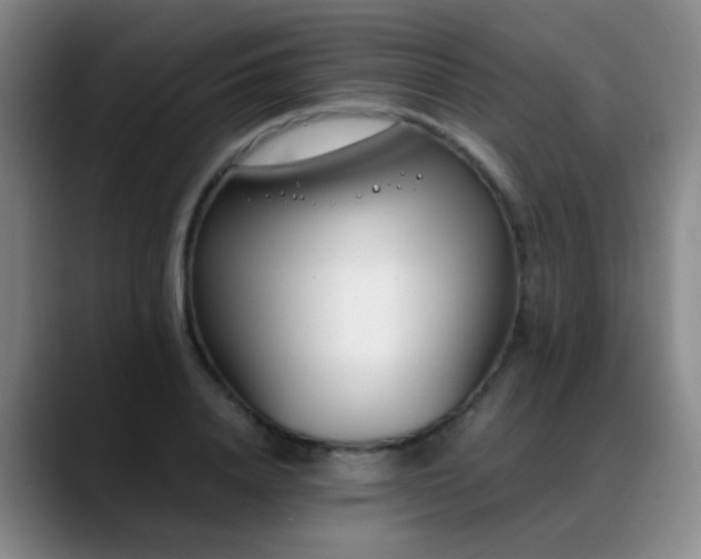 X0000089430840200706151307