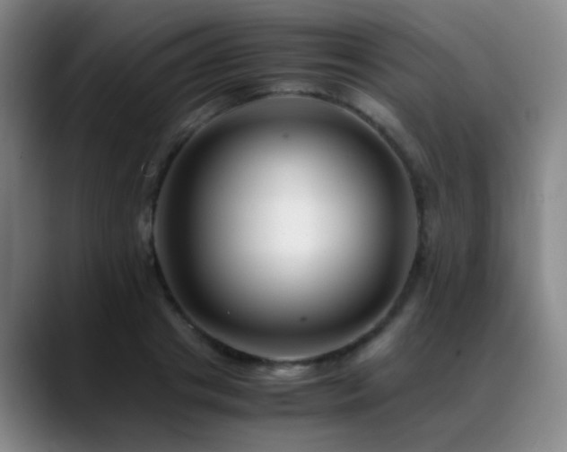 X0000089430841200706151307